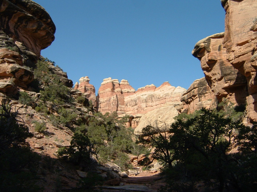 Needles & Canyons